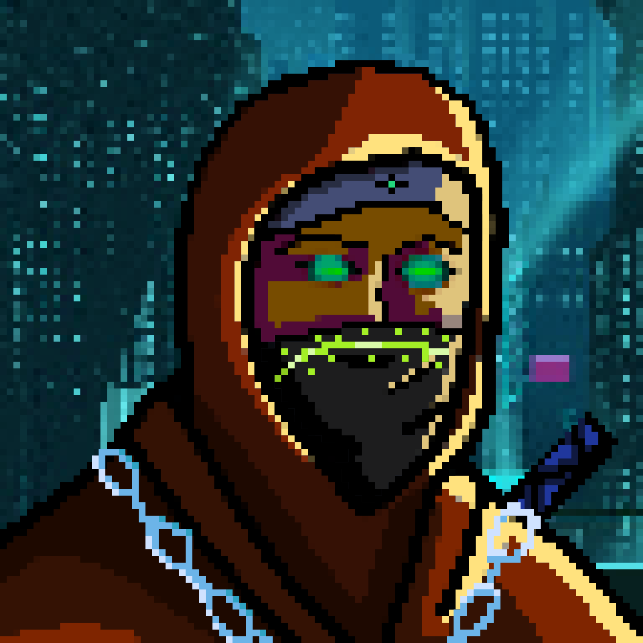 Meta Ninja